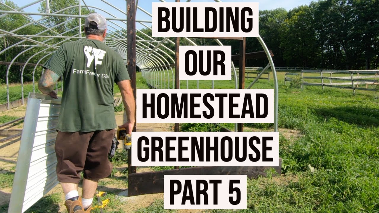 Building Our Homestead Greenhouse Part 5 (Vlog 37)