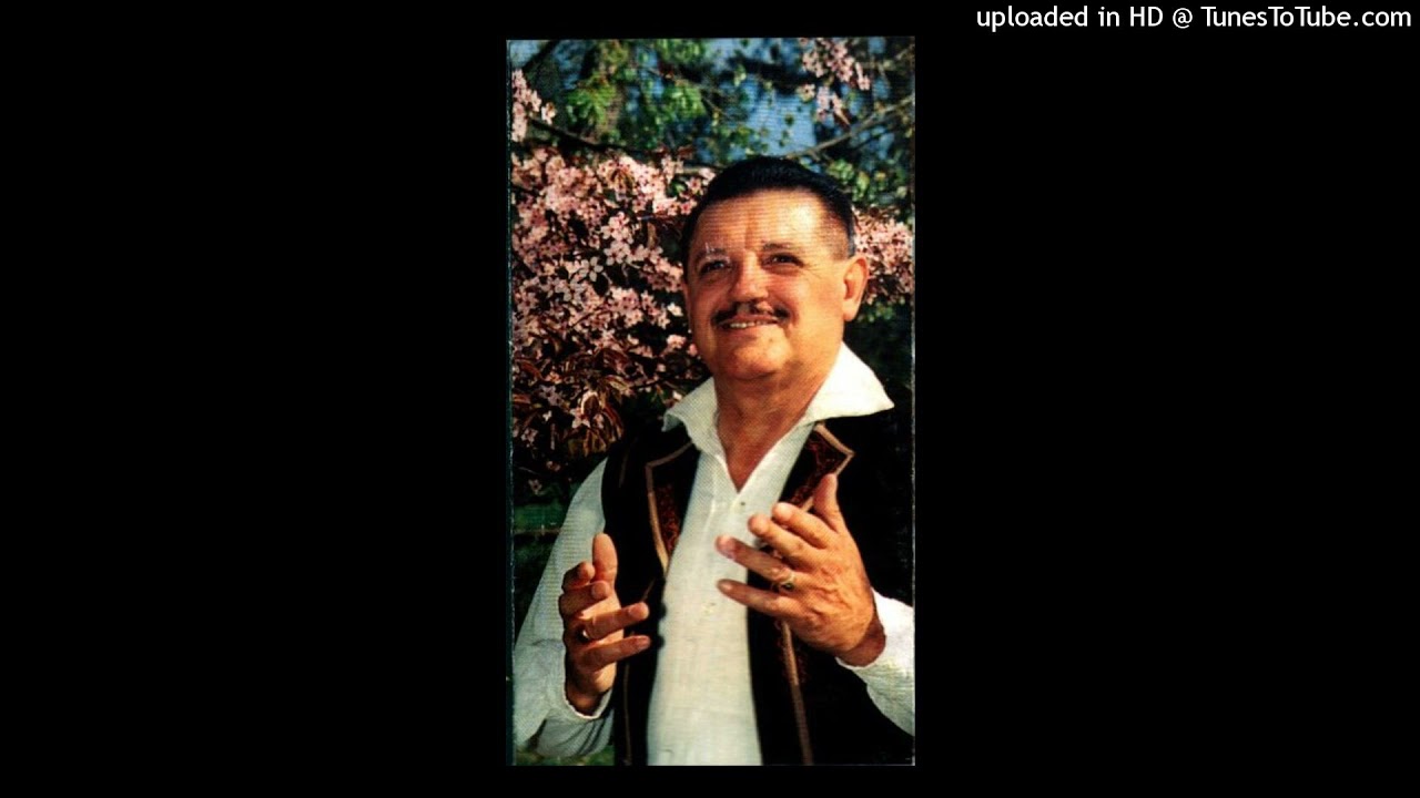 Petrică Moise-colaj-Timișoară/Fată bănățană/Prietenul care-ți vrea bine/Dragostea nu-i fie cum🎼🎤