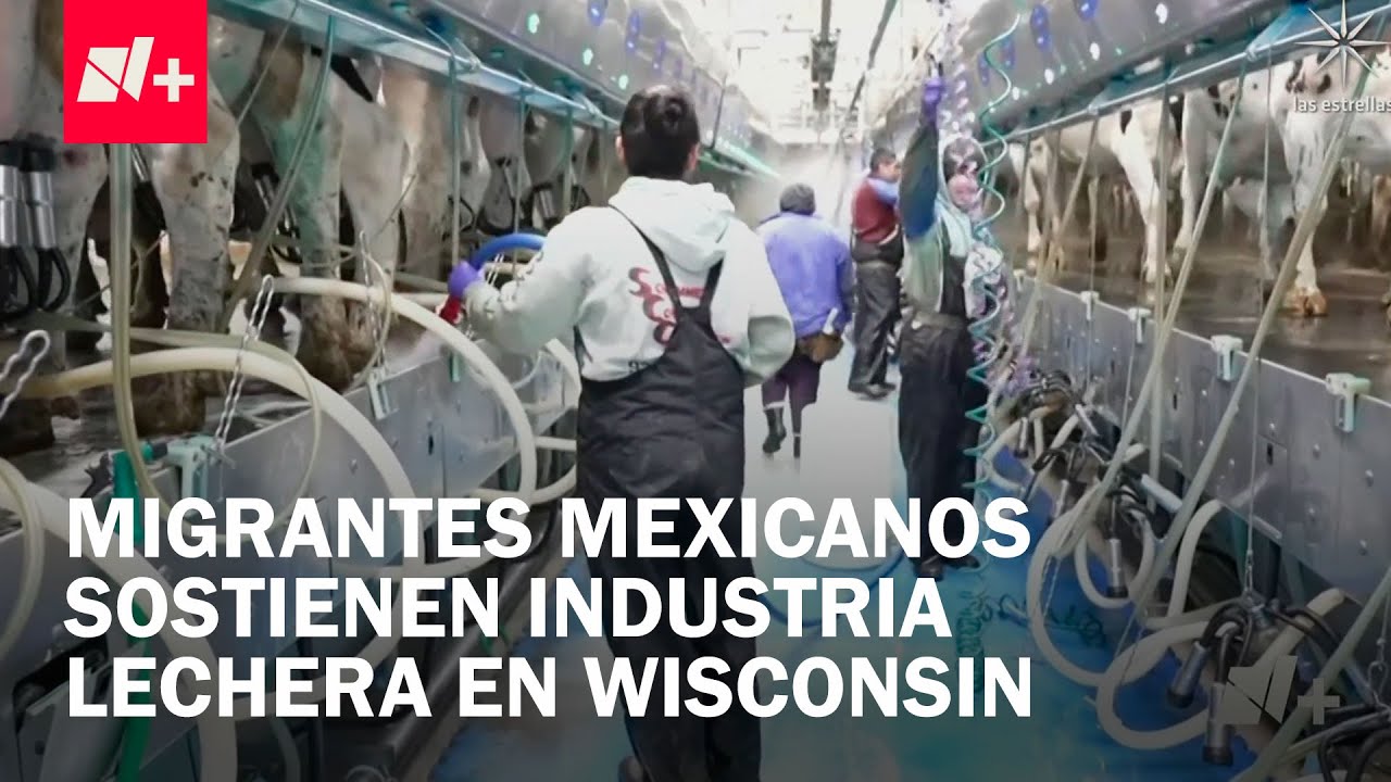 Mexicanos y centroamericanos sostienen industria lechera en Wisconsin - En Punto