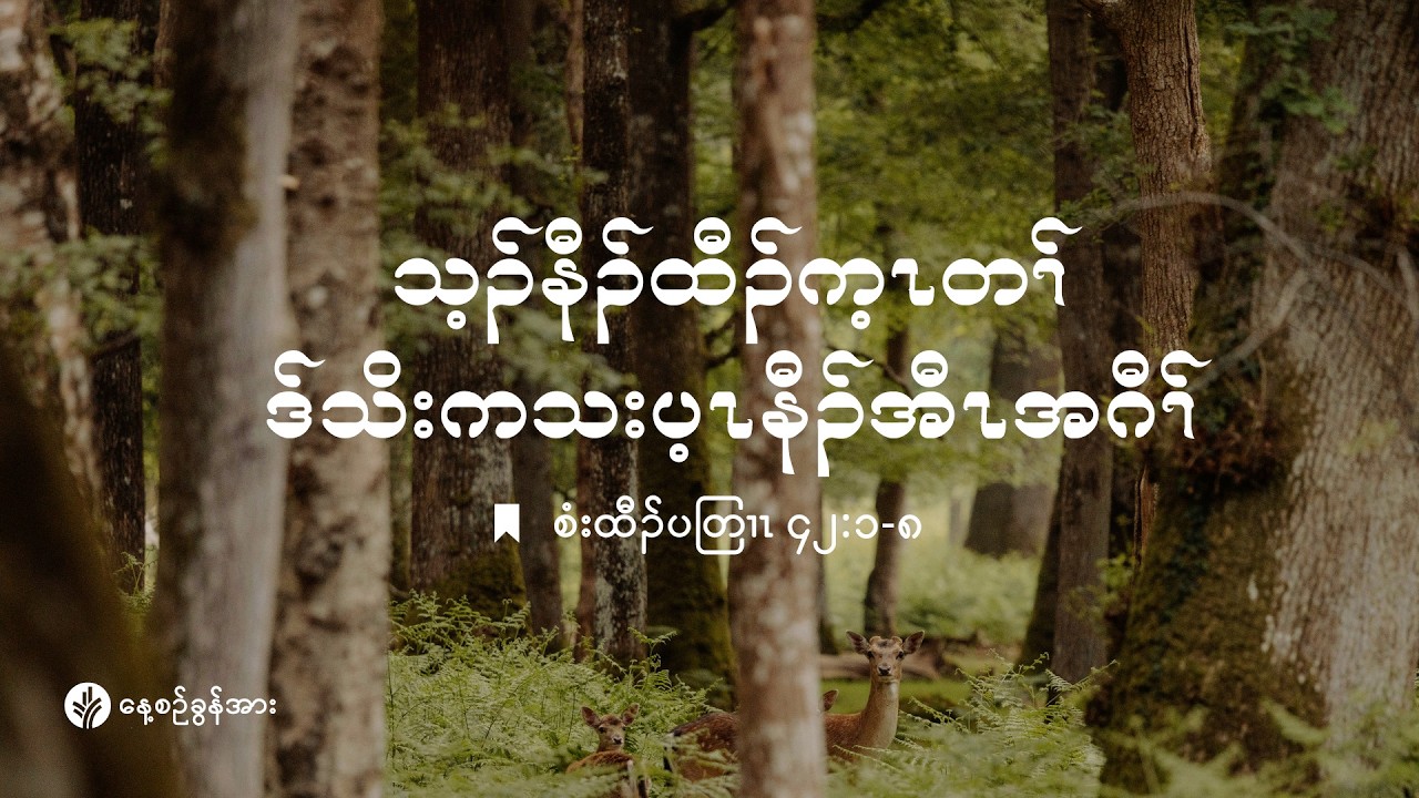 ကိၣ်လၢတနံၤဘၣ်တနံၤ | ၂၀၂၆ နံၣ် . လါဖ့းဘြူၤအါရံၤ (၂၁) သီ