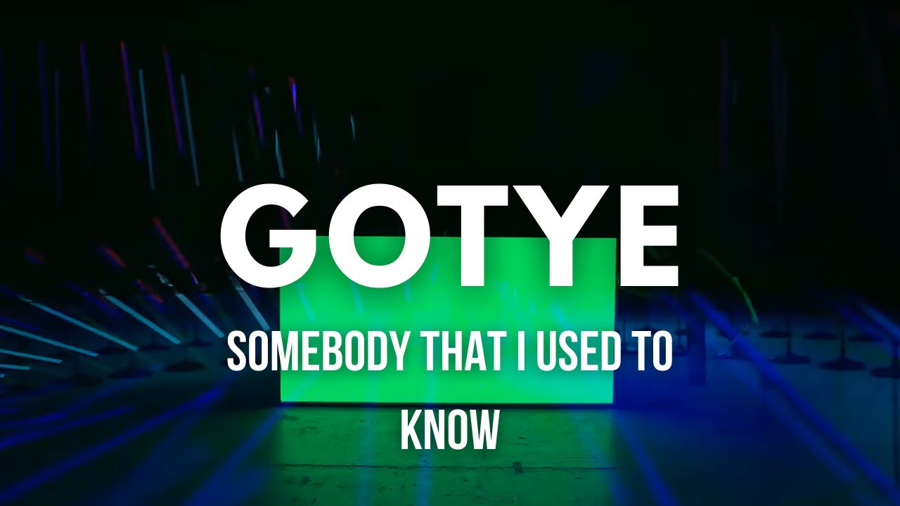 Gotye - Somebody That I Used To Know (Henri PFR Remix) Visualizer