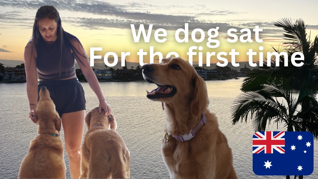 Brits dog sit for the first time in AUSTRALIA | GOLD COAST