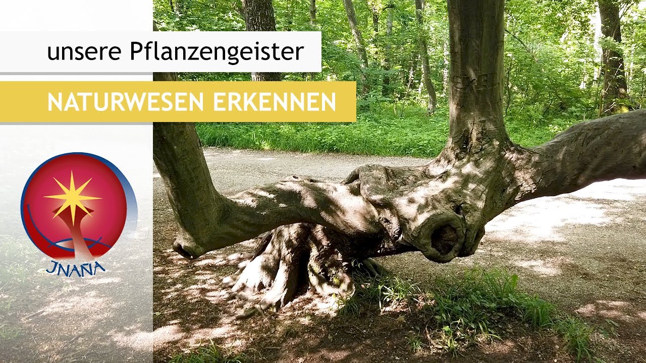 So erkennst Du ein Naturwesen - Eine Naturbetrachtung