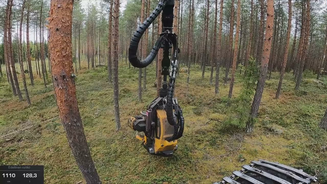 Mukavaa mänty harvennusta ja annetaanhan vielä AC:lle  mahdollisuus. Ponsse Scorpion K H7 AC FC