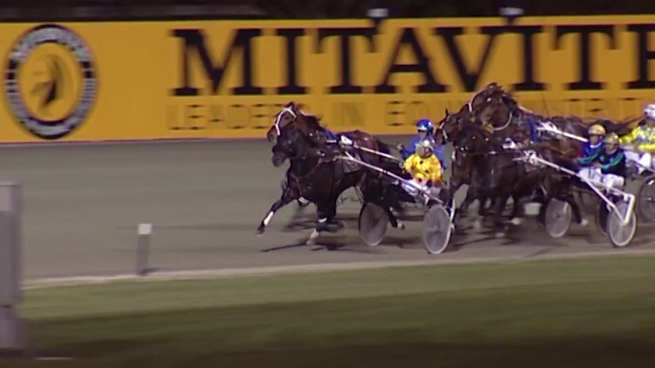 StandardBred | Episode 3