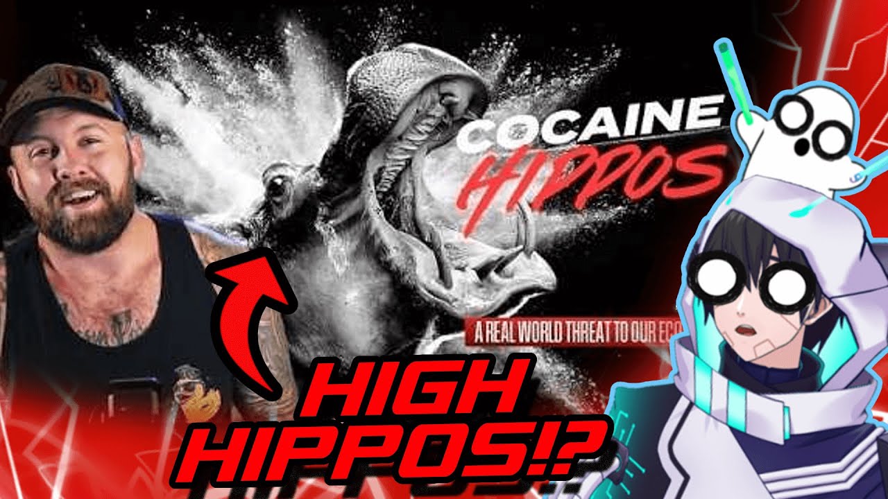 DEADLY Pablo Escobar Hippos!? | The Fat Electrician React