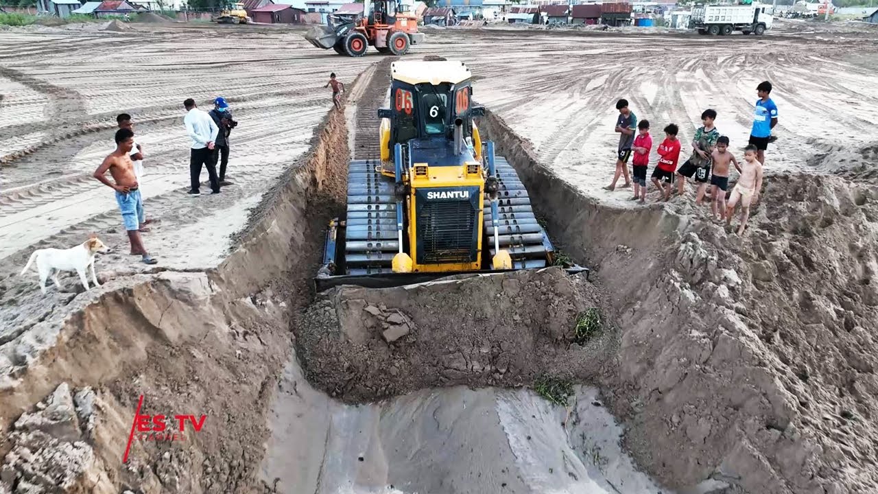 Special Activity Technique Operator Sand Filling Up Bulldozer Force To Pushing Clearing Sand