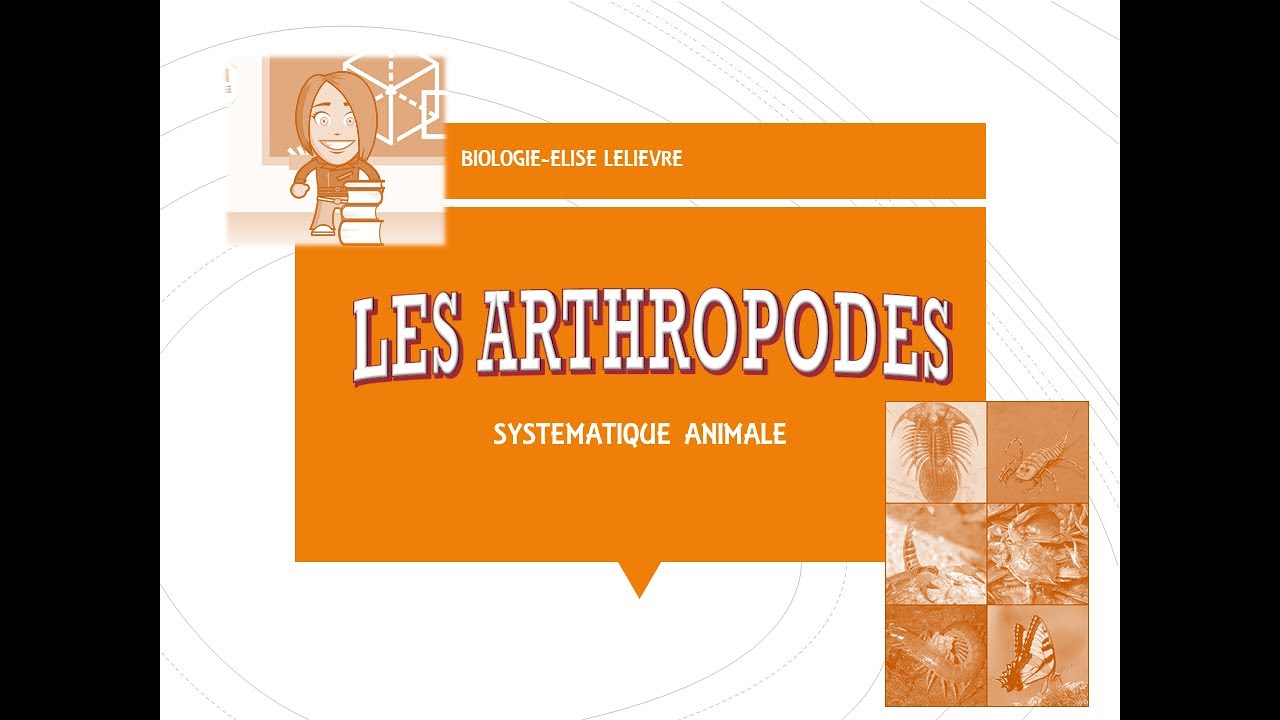 Arthropodes