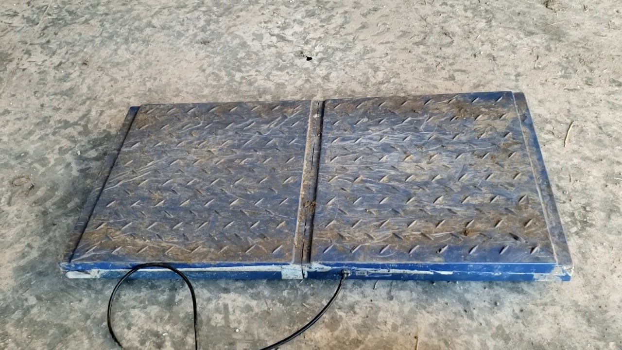 Scales for weighing sheep and goats