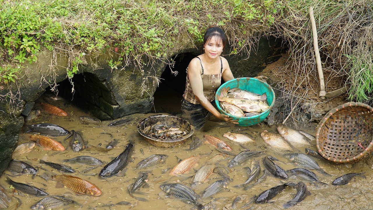 Incredible Fishing Skills! 72 Hours Hunting Tons of Alien Fish From the Sewer for Market Sale! 🐟💥