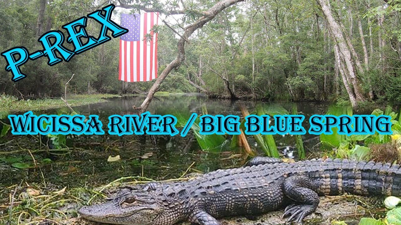 Wacissa River / Big Blue Springs #flriverriders #prexflrr