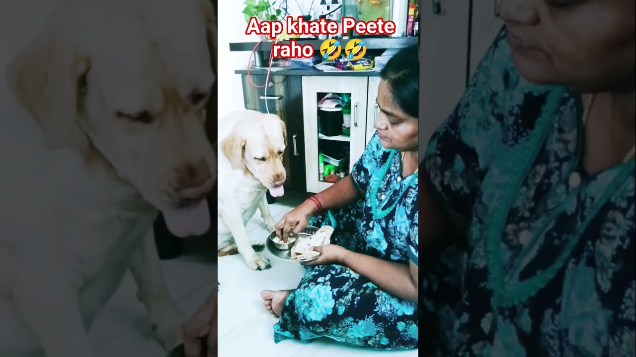 Aap khate Peete raho🤣