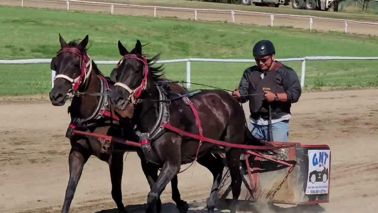 Chariot Races #chariot #canada 🇨🇦 🍁