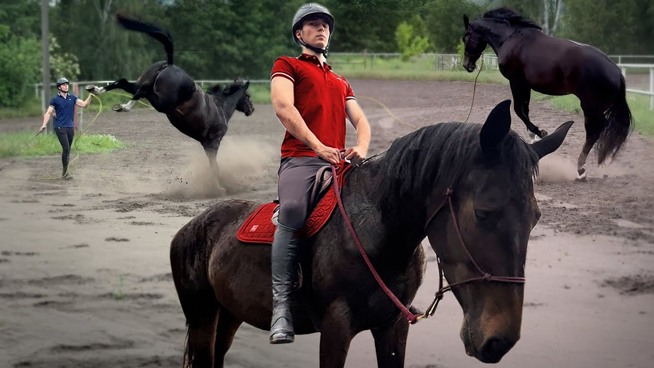 JAK (nie) ZOSTAĆ PROFESJONALNYM JEŹDZCEM!