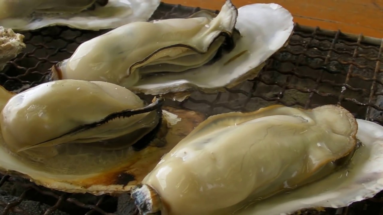 「豊前海一粒かき」牡蠣小屋　Oysters BBQ－2012 冬（12月）