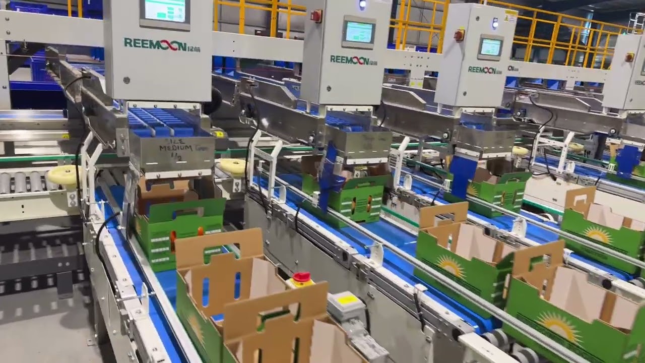Sundown Foods Australia - REEMOON