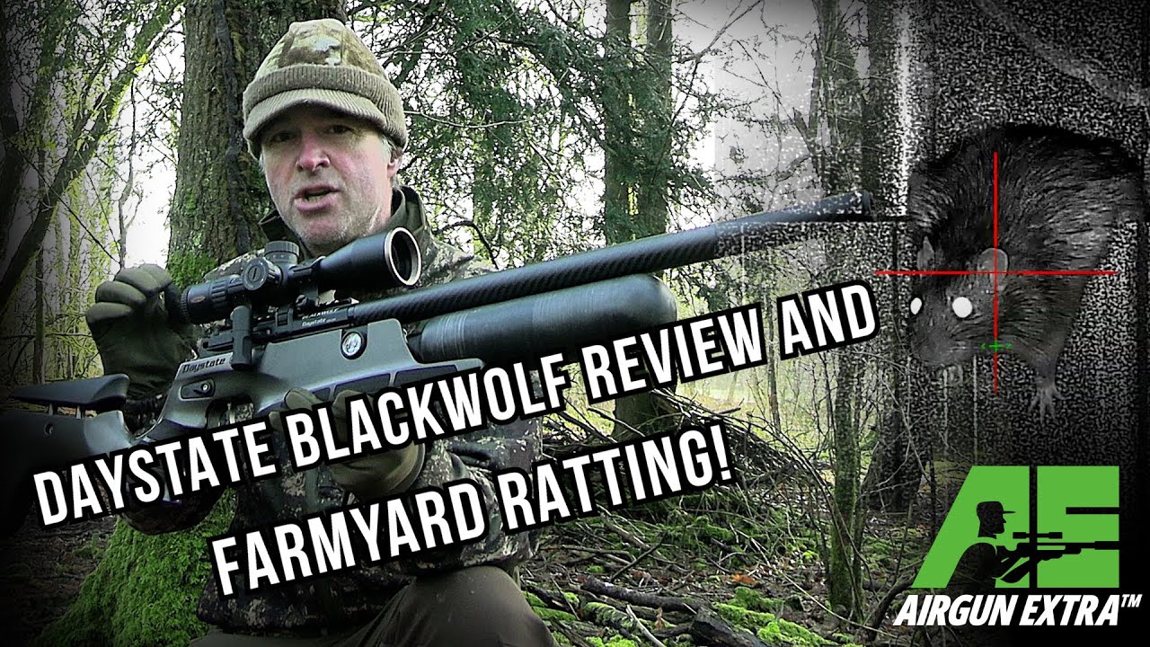 Airgun Extra | Manic farmyard rat shooting with DNT Thermnight | Daystate Blackwolf review