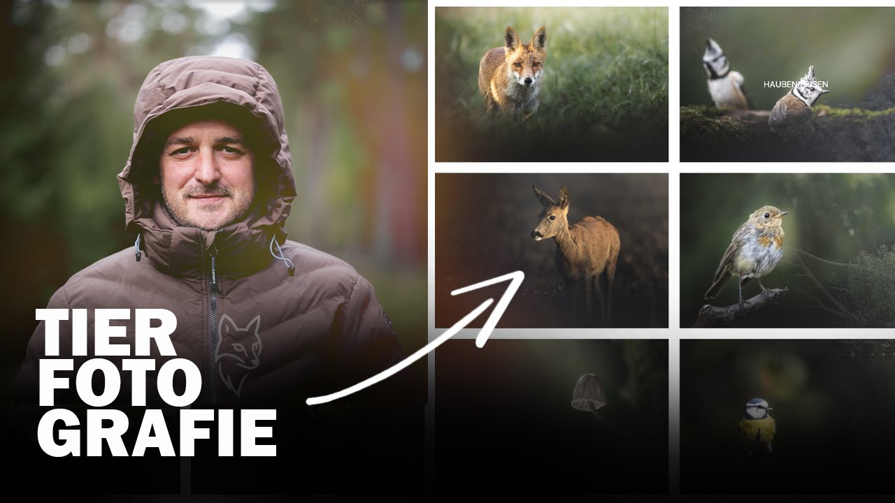 Tierfotografie Tipps: Wo und wie fotografiert man Wildtiere in Deutschland?