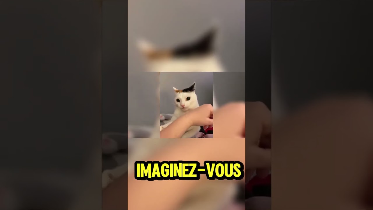L&rsquo;HISTOIRE DU SET LEGO LE PLUS CONTROVERS&Eacute; 🚫