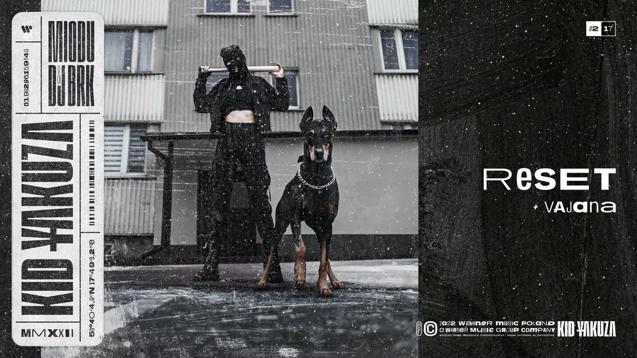 DJ BRK & Miodu feat. Vajana - Reset [Official Audio]