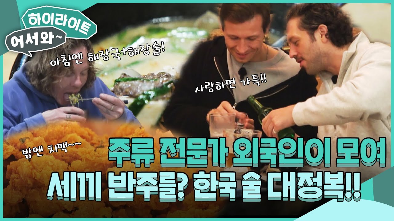 삼시세끼 아니고 상시 반주? 주류 전문가 외국인들이 모여 한국 술 마시는 법을 마스터한다고? l #어서와하이라이트 l #어서와한국은처음이지 l EP.408