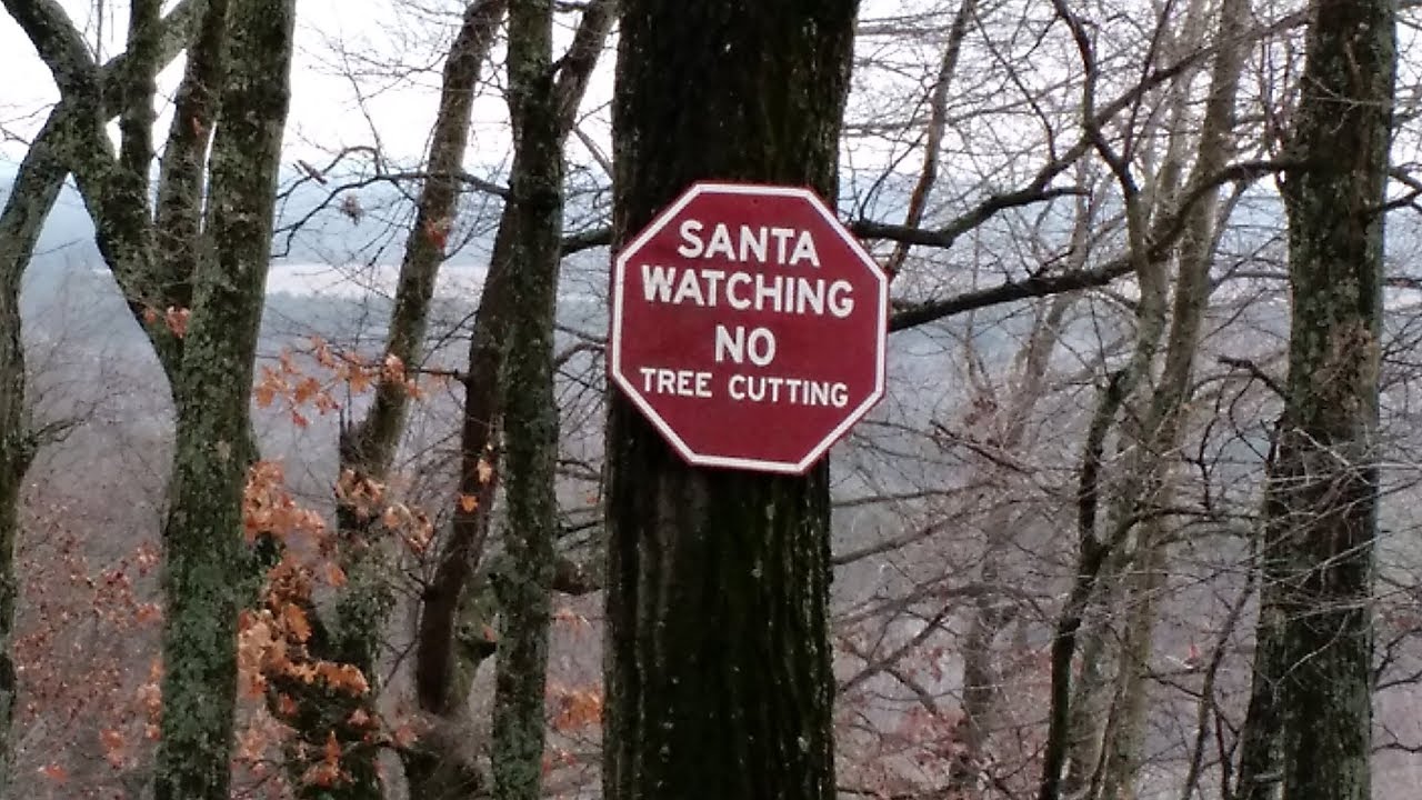 A Hike & Pipe: Bare November Days - Nordic Walking on XC Ski Trails
