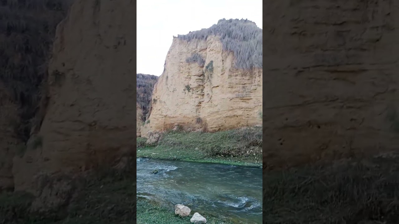 #nature