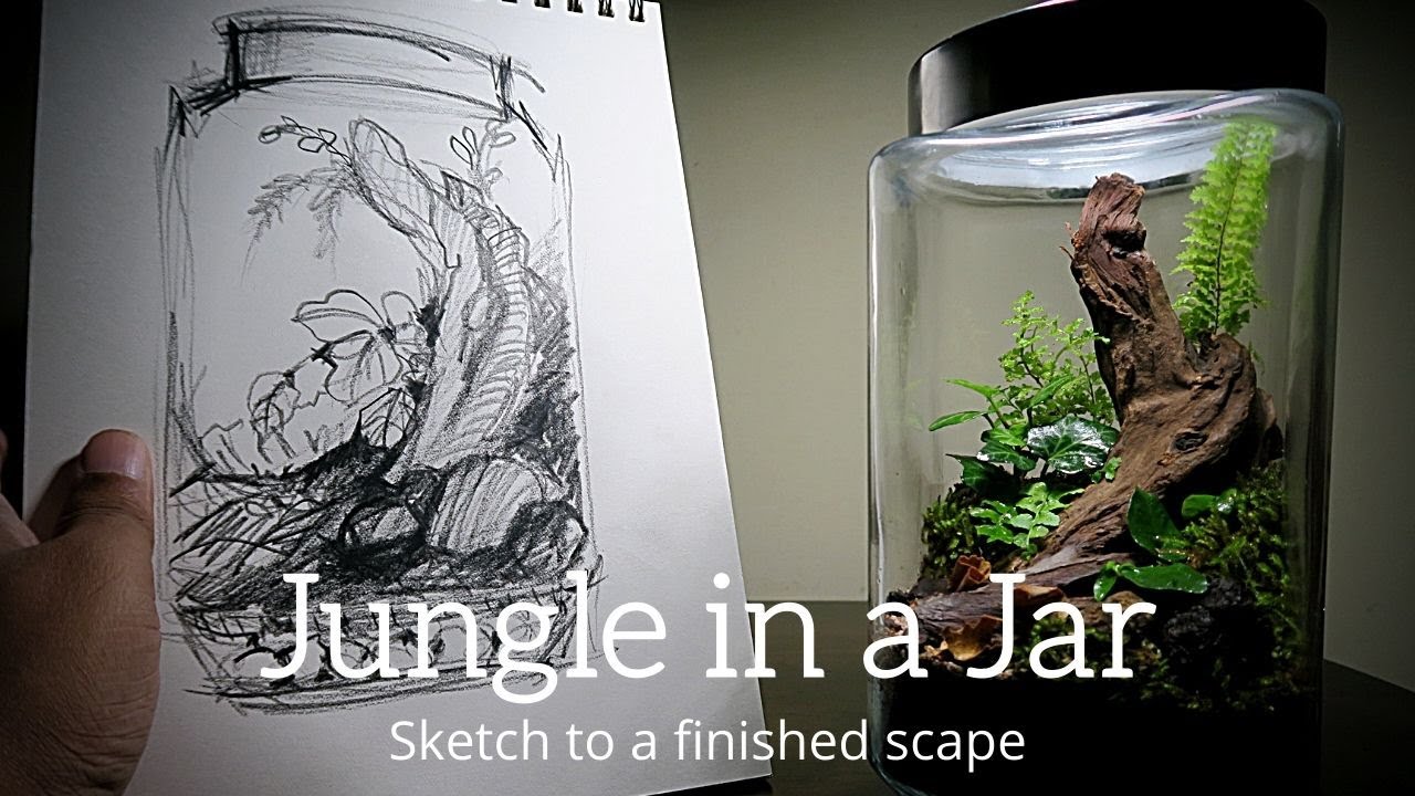 Jungle in a jar 1 || From a sketch to a finished scape || Closed terrarium built