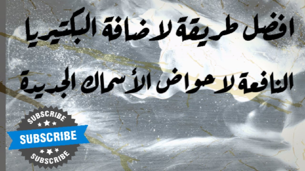 وداعاً لانتظار اكتمال الدوره البيولوجية افضل طريقة لاضافة البكتيريا النافعة لاحواض الاسماك الجديدة