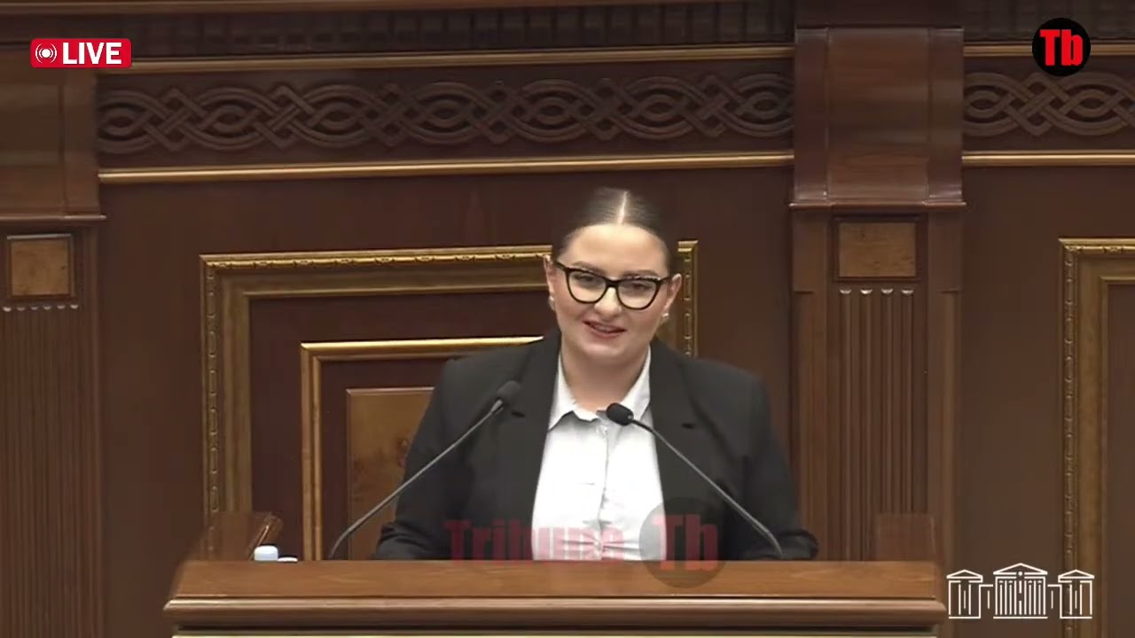 30 մլն դրամ եք ստացել, դրա՞ համար եք ընտրվել. Քրիստինե Վարդանյանը քարը քարին չթողեց