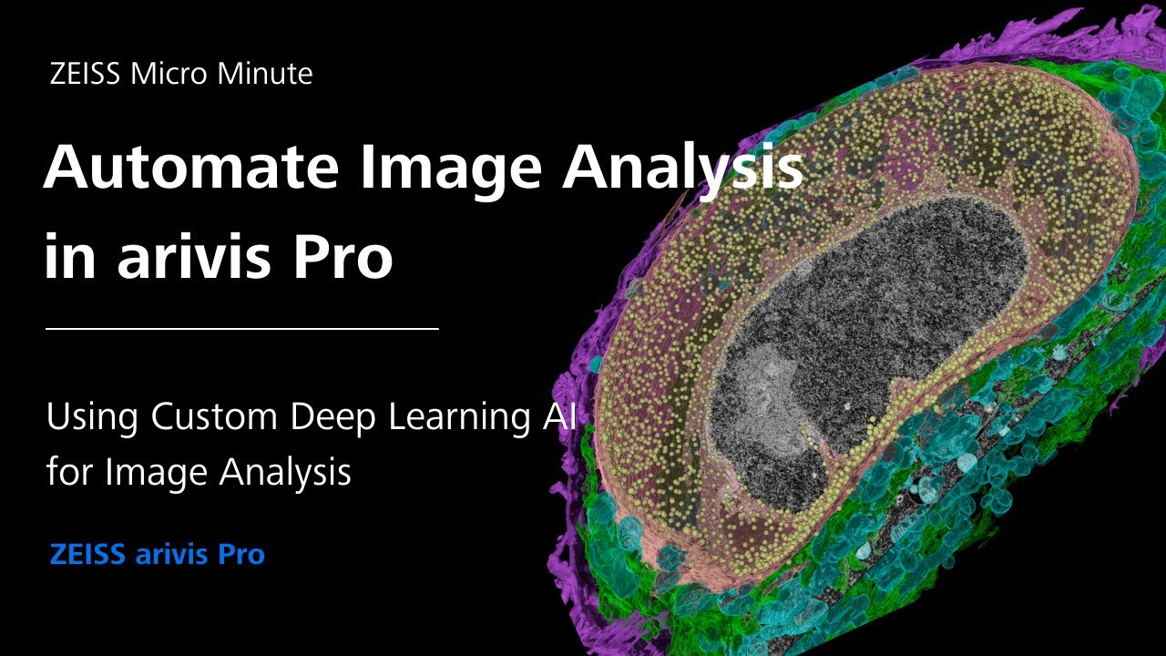 Automate Image Analysis using Pre-Trained Deep Learning AI | arivis Pro| ZMCC Live Demo | Episode 21
