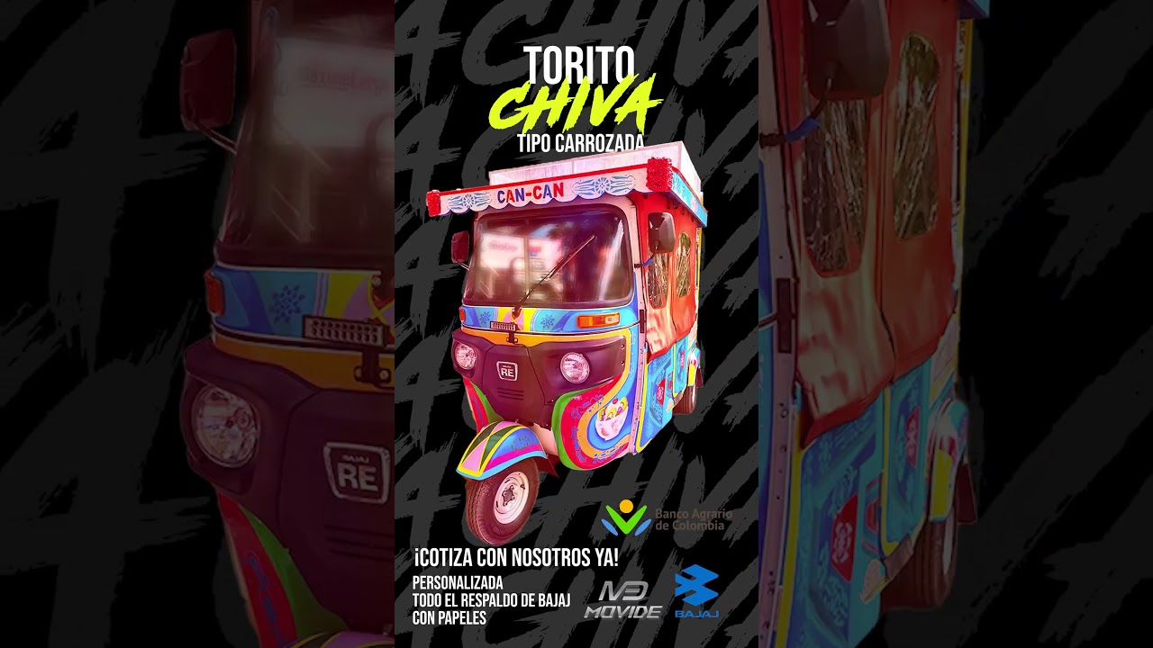 MOTOCARRO CHIVA BAJAJ TORITO MOTOCHIVA
