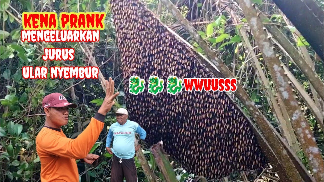 KENA PRANKK