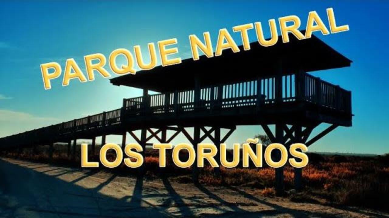 Parque natural - LOS TORU&Ntilde;OS -  4K - Vistaereo - Canal-films24 - El Puerto de Santa Maria -