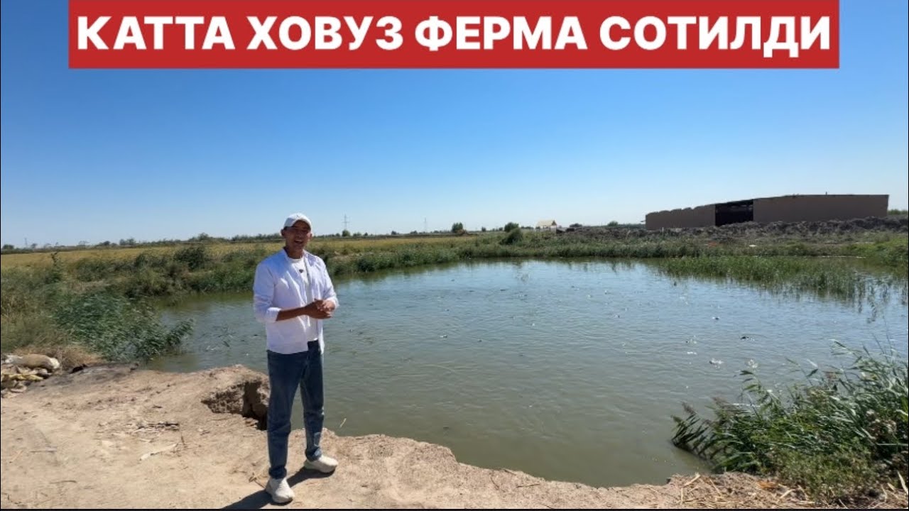 УРГАНЧ ТУМАНДА ХОВУЗ ФЕРМА СОТИЛДИ. FERMA ARZON SOTILADI