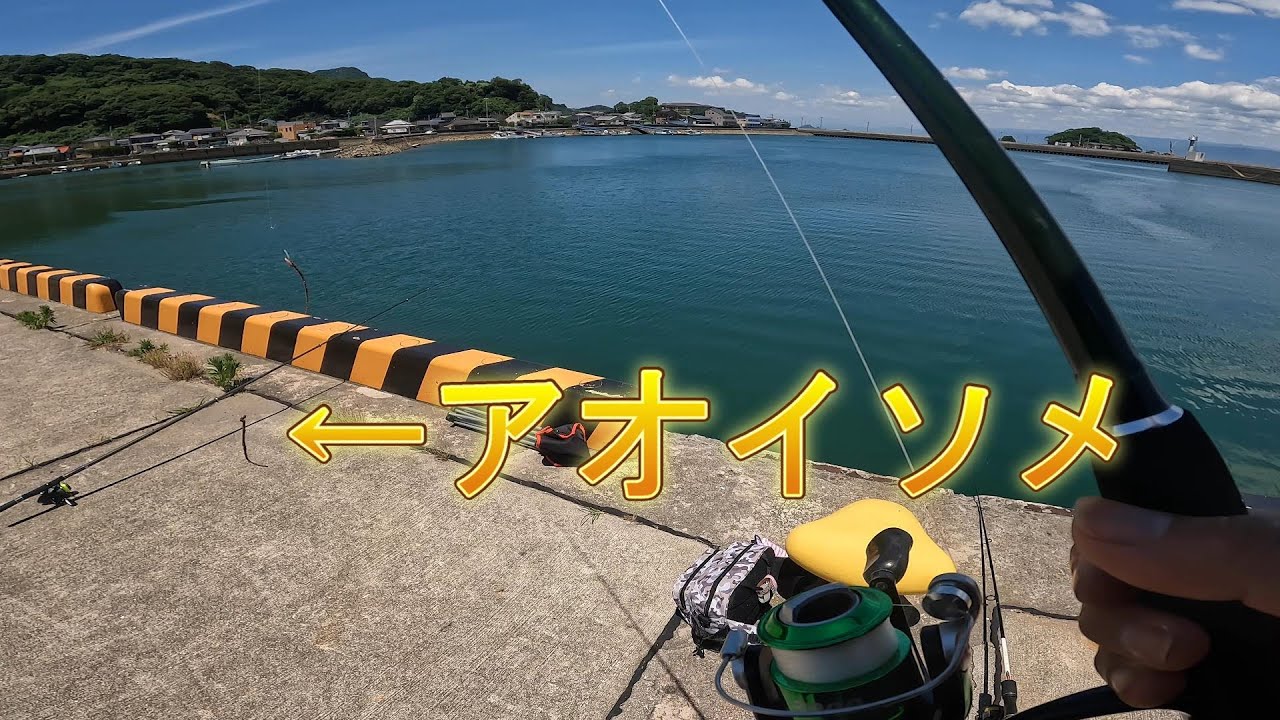 【胴付きちょい投げ】エサ釣り！アオイソメで大量狙い！！