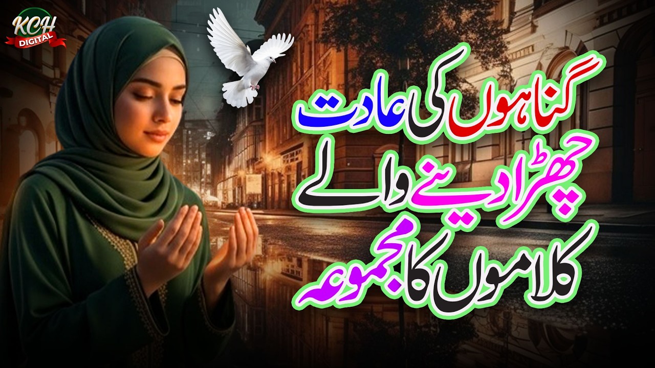 Gunahon Ki Aadat Chura Dijiye Maula Mujhe || Heart Touching Naat Collection 2026