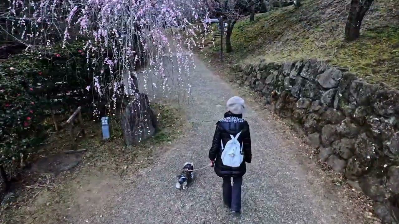 「熱海梅園」で