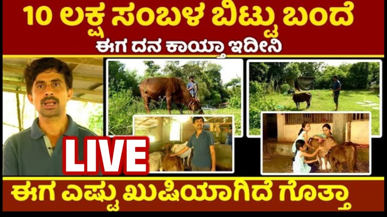Success Story Kannada #farming