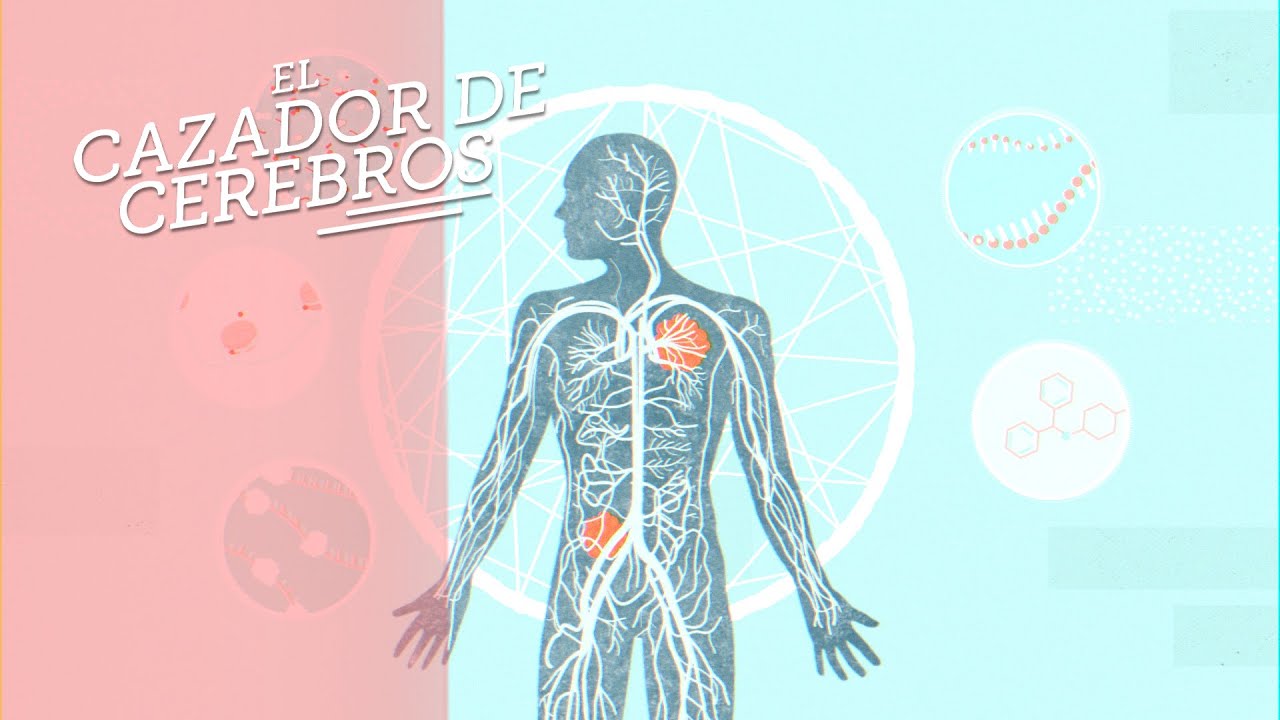 Inmunoterapia. Arrinconando al cáncer.