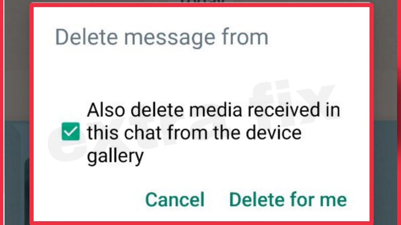 WhatsApp | message also delete media received in this chat from the device gallery