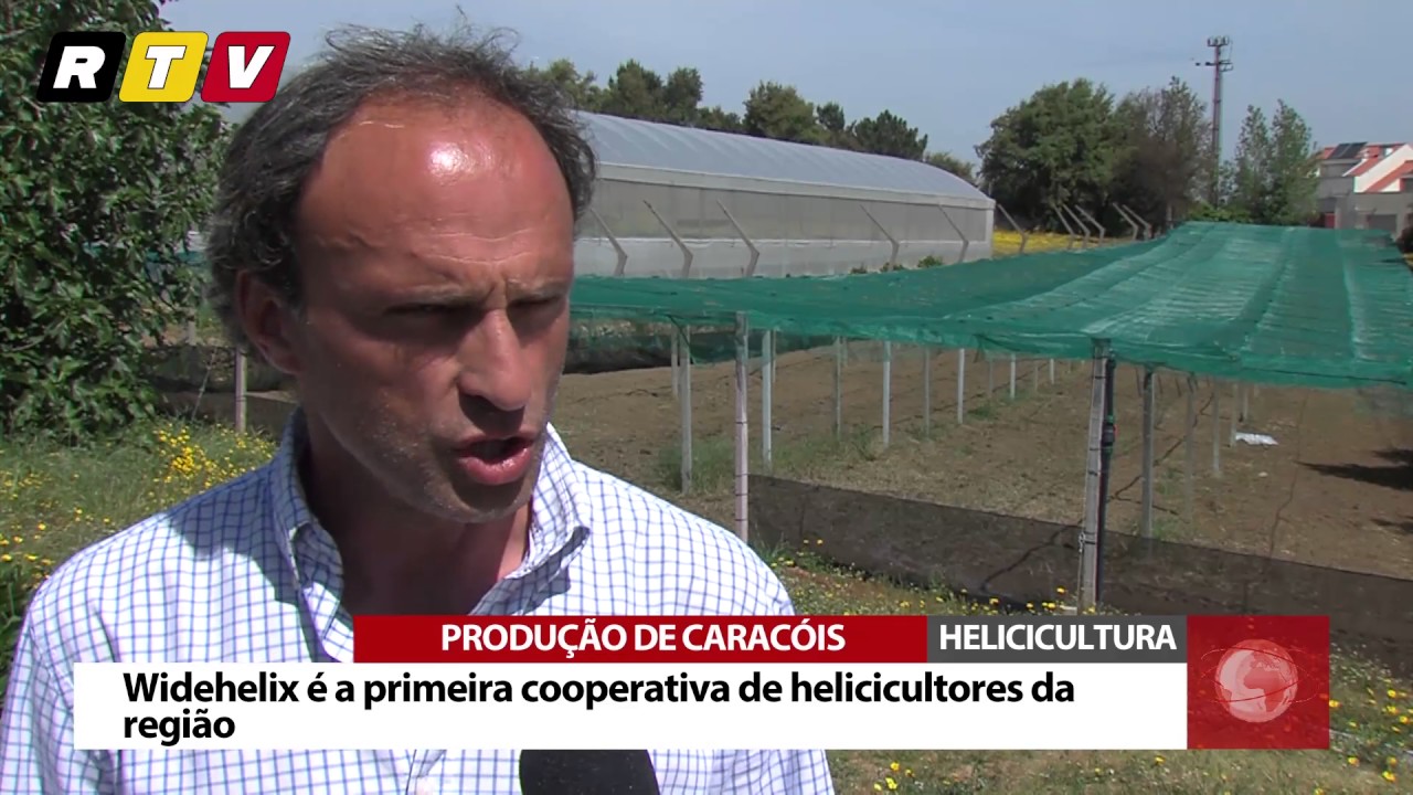 Produção de caracóis