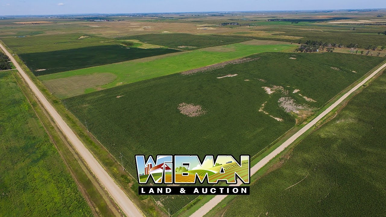 312.29 Acres Douglas County Land Auction