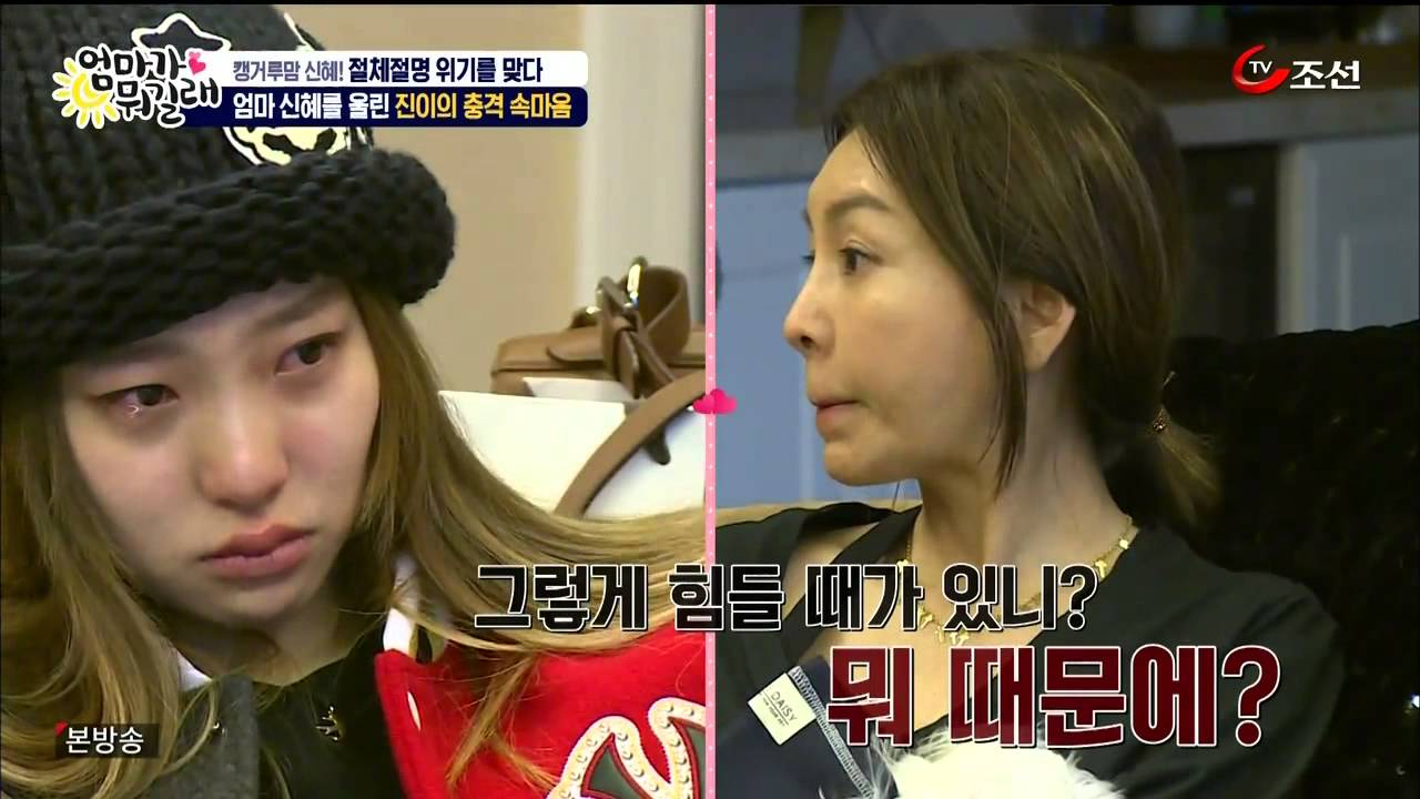 엄마가 뭐길래  황신혜 딸 이진이 일기장