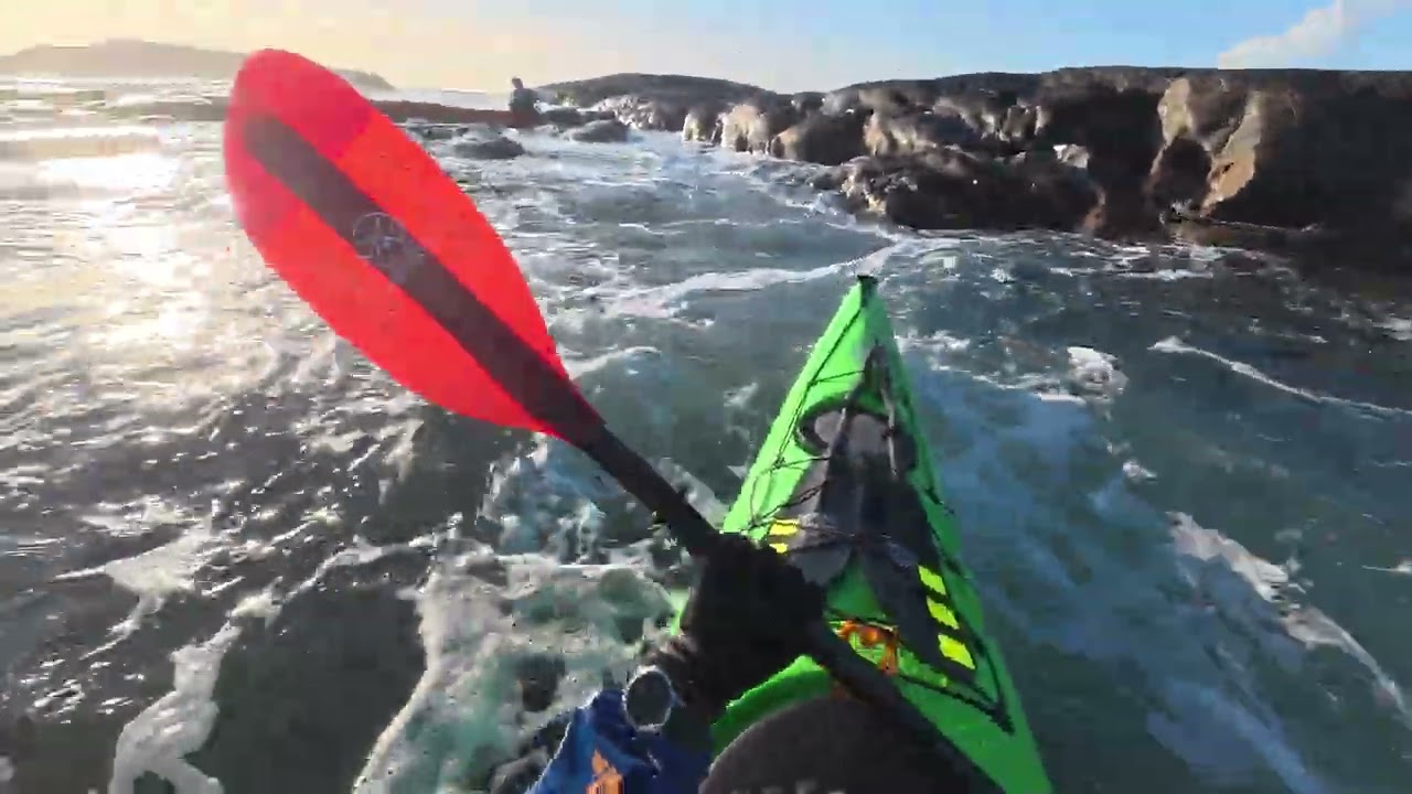 Rookie Rockhopper