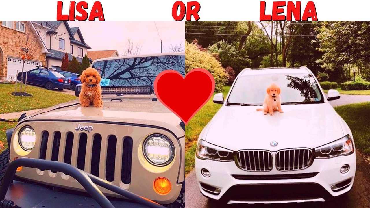 Lisa or Lena #47 💖
