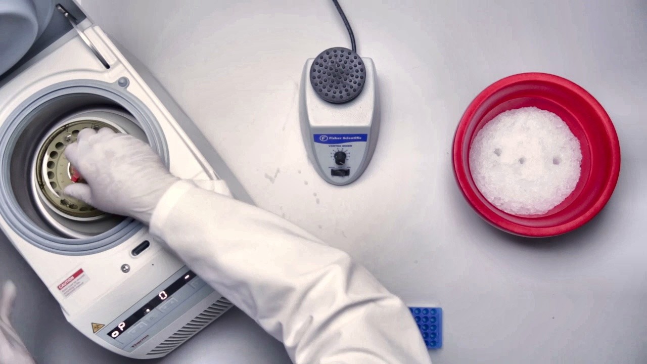 Правильно подготовьте реагенты для комбинируемых панелей | ProcartaPlex