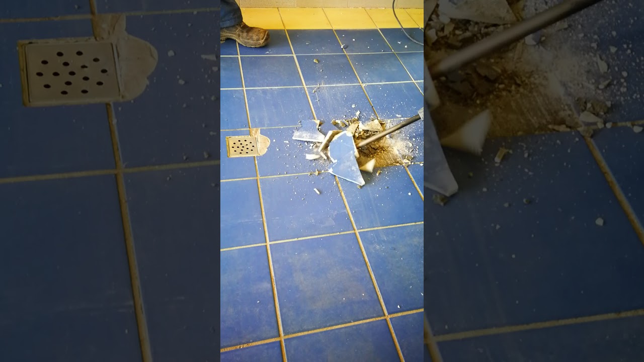 &Scaron;temanje Lipa 2