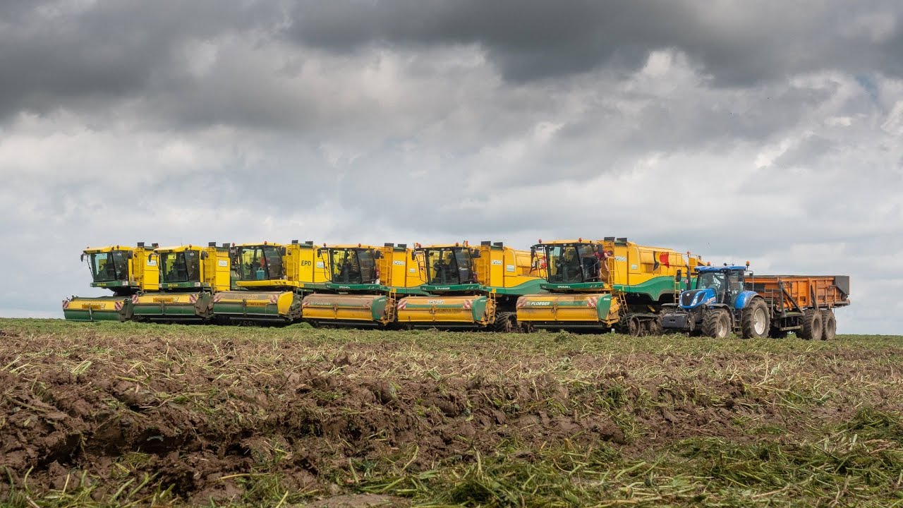 #Puresound | 6 X Ploeger harvesting peas | Goemare | 2021 | New Holland tractors | Dezeure