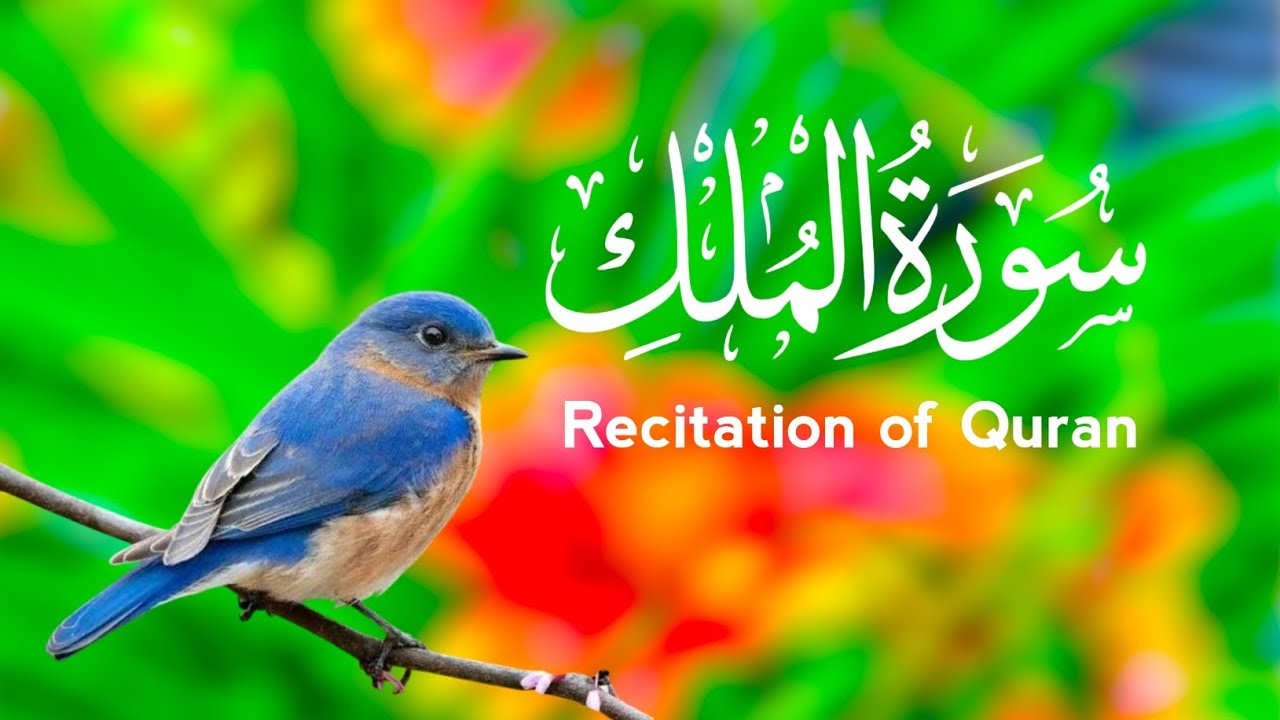 Sureh Al Mulak (سورہ الملک )By Qari Abdullah Ahmed Shuban |So beautiful voice |peace of mind 